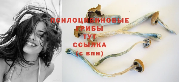 спиды Баксан