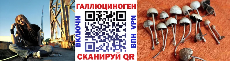 Галлюциногенные грибы Psilocybine cubensis  купить наркоту  Можайск 